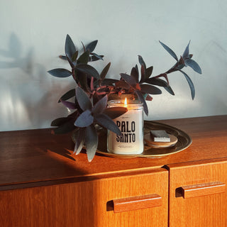 a palo santo candle on a tray with a plant on top of a mid century wooden cabinet