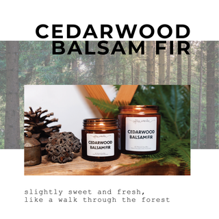 Cedarwood Balsam Fir | Signature Candle