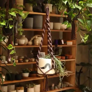 Dark Brown Plant Hanger | 37"