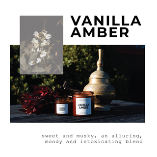 Vanilla Amber | Signature Candle