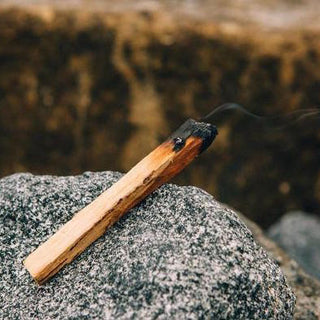 Palo Santo | Bundle