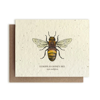 Honey Bee | Plantable Note Card*