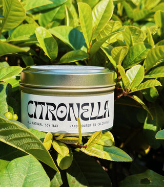 Let's Meet Our Citronella Travel Candle