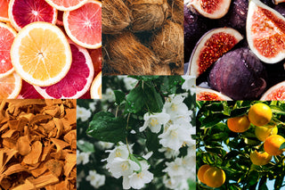 summer's signature scents