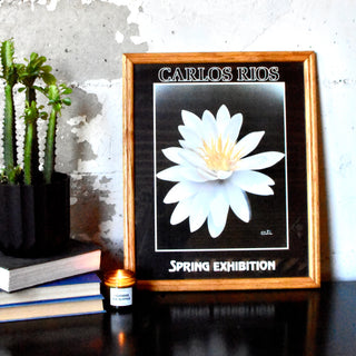Carlos Rios | Spring Exhibition | Framed Art