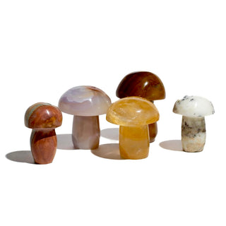 Gemstone Mushroom