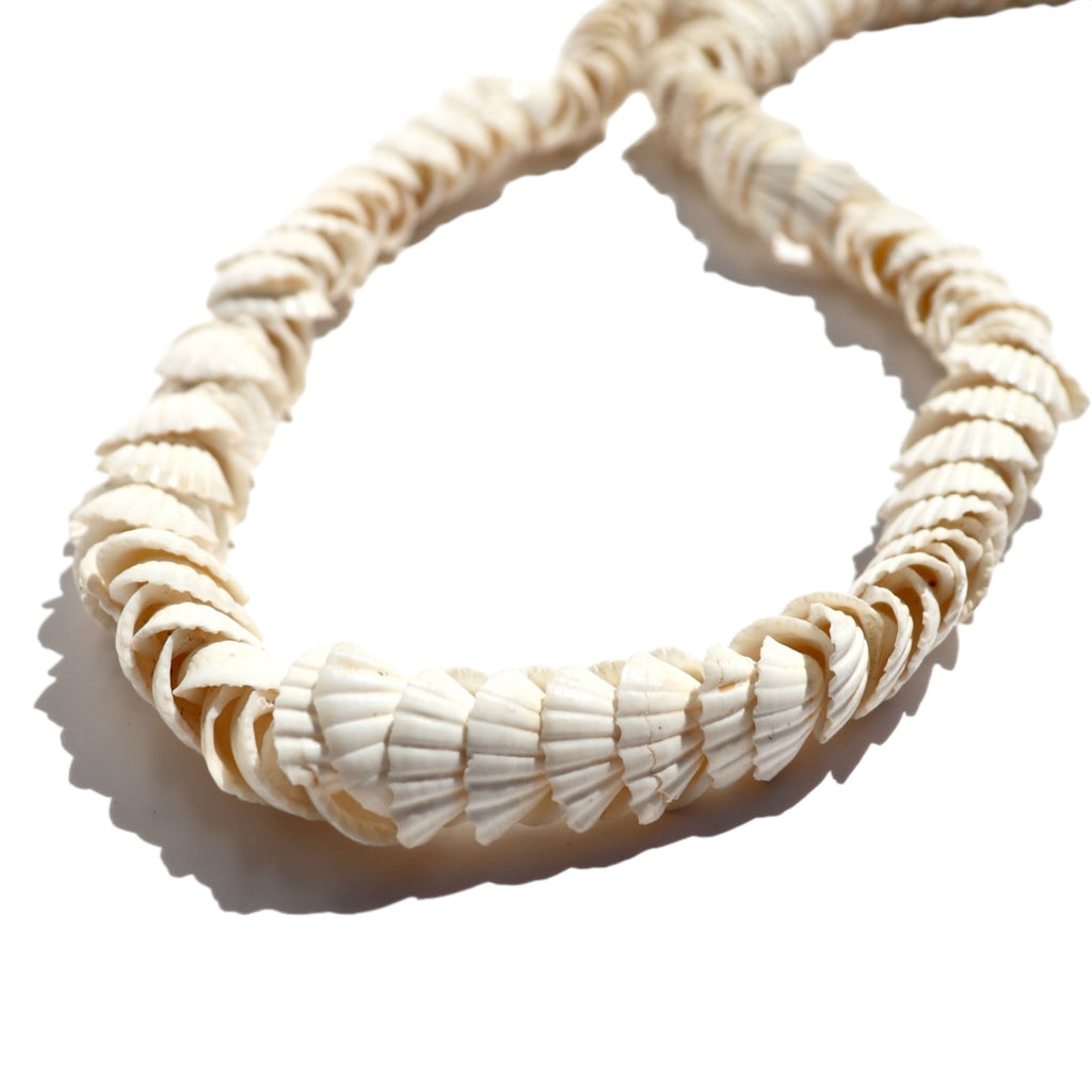 Seashell Rondells Mini Cockle Seashell | Strands – Often Wander