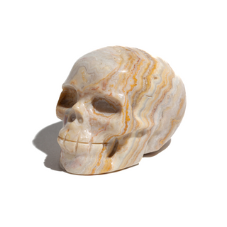 Crazy Lace Agate | Skull