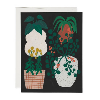 Indoor Plants | Note Cards*