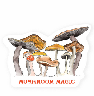 Mushroom Magic | Antiquaria