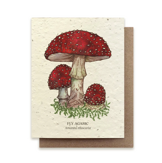 Fly Agaric Mushroom | Plantable Note Card*