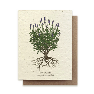 Lavender | Plantable Note Card*
