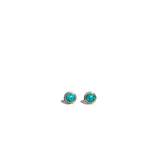 Turquoise Round | Stud Earrings