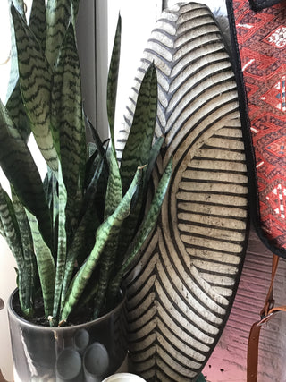 African Shields